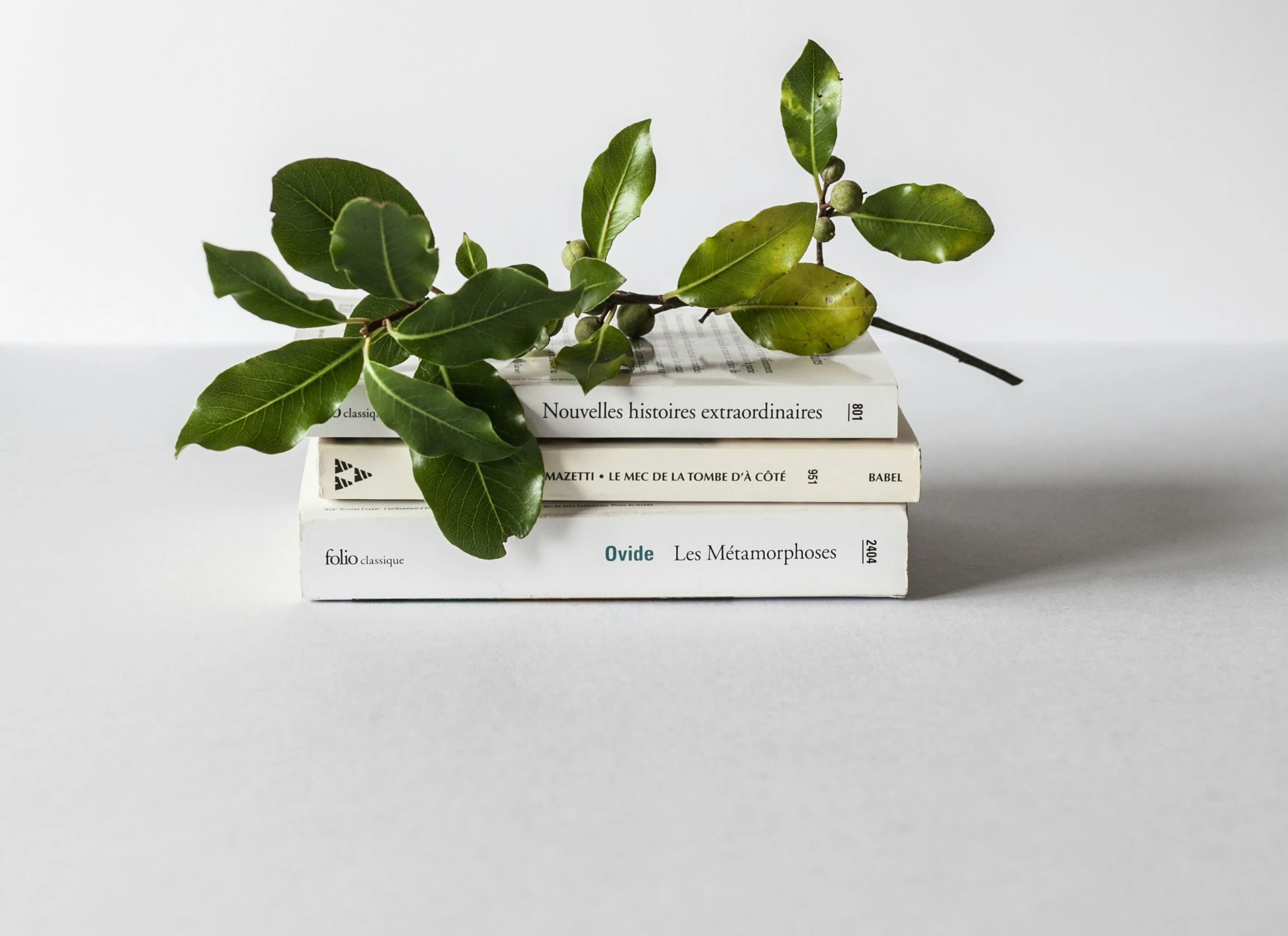 Aliquam quo neque iure placeat deleniti itaque cupiditate. Eum voluptatum consequatur accusamus beatae. Perspiciatis unde suscipit distinctio veniam iure laborum.